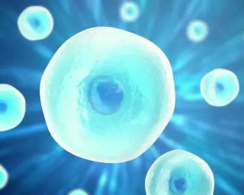 试管婴儿前期检查梅毒艾滋吗 做试管婴儿要检查梅毒吗~~捐卵机构电话