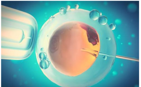 国内私人代怀公司服务,二代试管剩余的胚胎适合冷冻要满足三个条件?