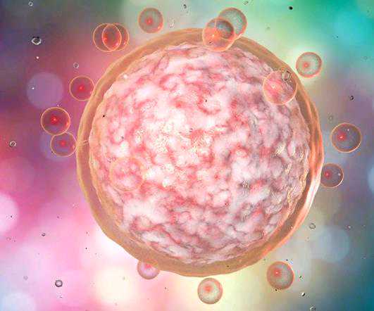 国内私人供卵机构排行榜,广州有名气试管婴儿医院排名 广州有名气试管婴儿医院排名前十