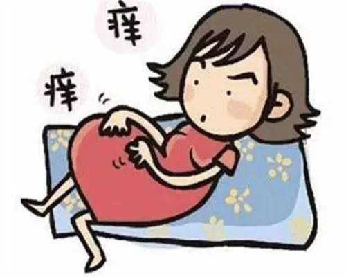 国内供卵代怀双胞胎几率,试管胎心以及胚胎移植后你懂吗