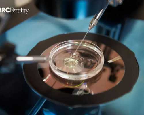 做试管打针引起的肝损伤怎么办？做试管打针引起的肝损伤怎么办能治好吗？--高薪供卵