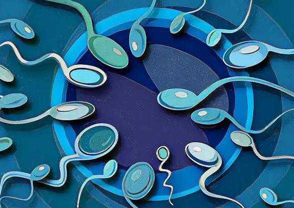 重庆清宫后如何保养子宫揭秘清宫后保养子宫的4大方法医院，清宫如何保养子宫快速怀孕--供卵三代包男孩