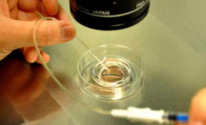 打亮丙瑞林的作用是什么