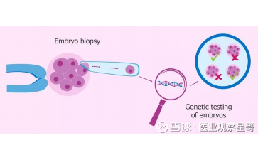 国内供卵医院推荐哪家,做试管冻胚成功率是多少？