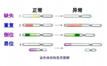 清宫后如何保养子宫