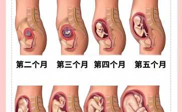 「甲亢遗传男孩还是女孩」甲亢男孩女孩哪个遗传几率大--人工代怀