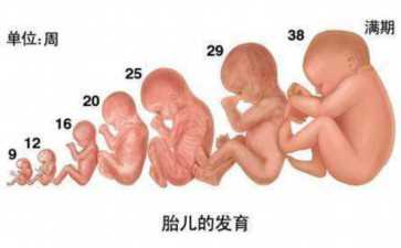 国内哪里有供卵群,试管一个医治周期是多久？做试管婴儿要一向住院吗？