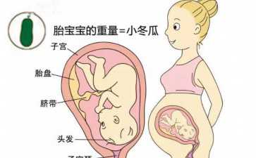 国内供卵需要注意什么,华阴试管医院技术怎么样试管前可以先治疗提高*率