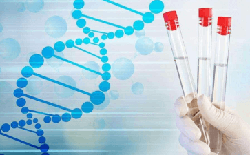 国内供卵借卵,试管婴儿对女性的伤害有哪些？