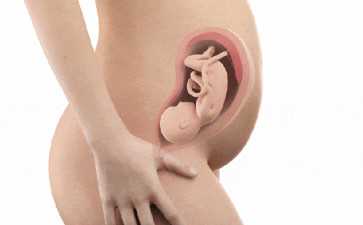 国内供卵的机构有哪些地方,女性辞职在家做试管的痛苦经历分享，高昂费用带来的压力巨大