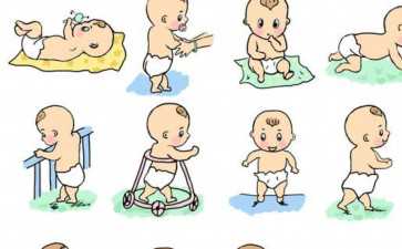 怎么解读彩超监测卵泡报告单？彩超单子怎么看卵泡大小是多少？