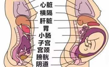 宫腔分离的正常范围~~正规试管代怀