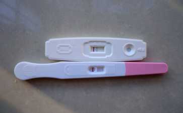 国内供卵中心排名,拉拉试管婴儿攻略|西班牙IUI/IVF政策、流程与费用