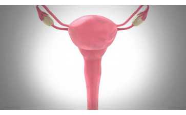 哪里的医院可以供卵,合肥试管婴儿做一次多少钱？合肥中山医院做试管婴儿好吗？ ...