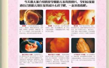 国内代生儿子咨询,乌鲁木齐哪家公立医院做三代试管最好？