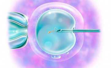 中国正规的代孕,俄罗斯试管：俄罗斯试管婴儿与输卵管逆转