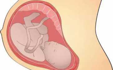 宫颈肌瘤怎么治疗？宫颈肌瘤怎么治疗比较好呢？~~正规代生助孕