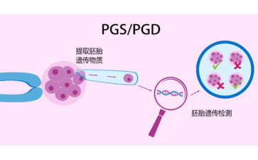 国内最好供卵中心医院,湖南能做三代试管的私立医院大全