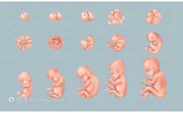 国内如何代生孩子,海口专业助孕医院,助孕生孩子可信吗？