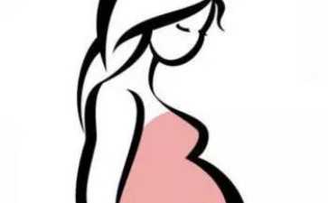 国内供卵费用多少钱,试管前艾灸对试管移植有影响吗？