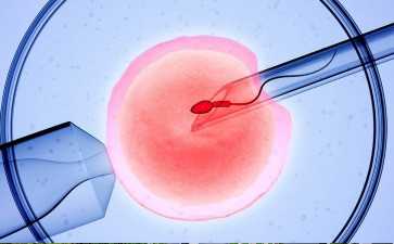 中国供卵市场情况,试管冻胚移植十一天测到白板是失败了？有这些症状就不怕...